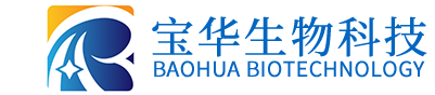 星空入口-星空入口（中国）
